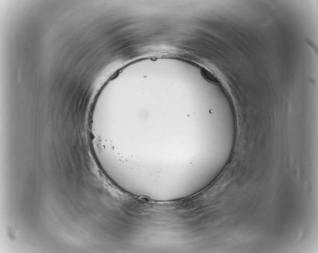 X0000101681488200807311508