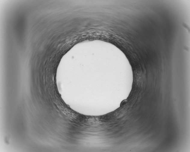 X0000101681489200807311507