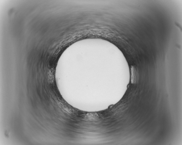 X0000101681491200807311507