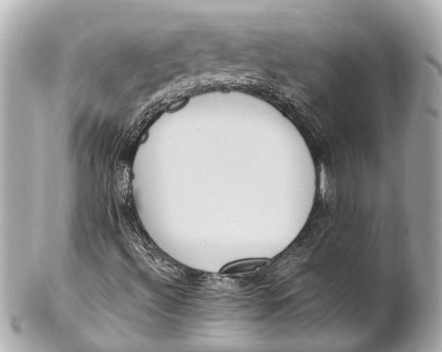 X0000101681492200807311507