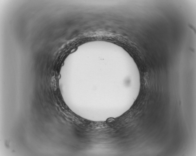 X0000101681493200807311507