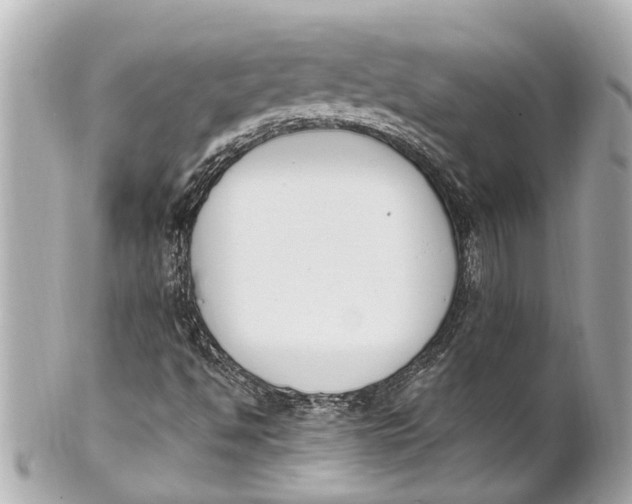 X0000101681494200807311507