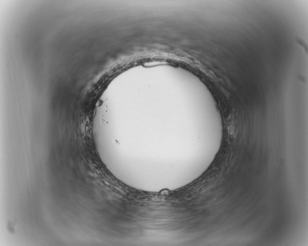 X0000101681495200807311507