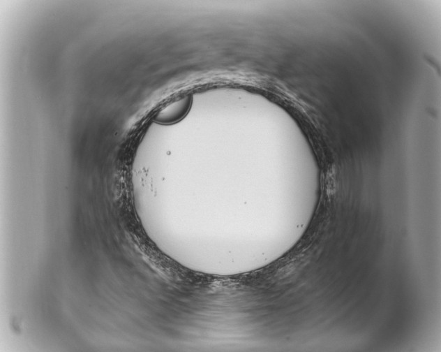 X0000101681496200807311507