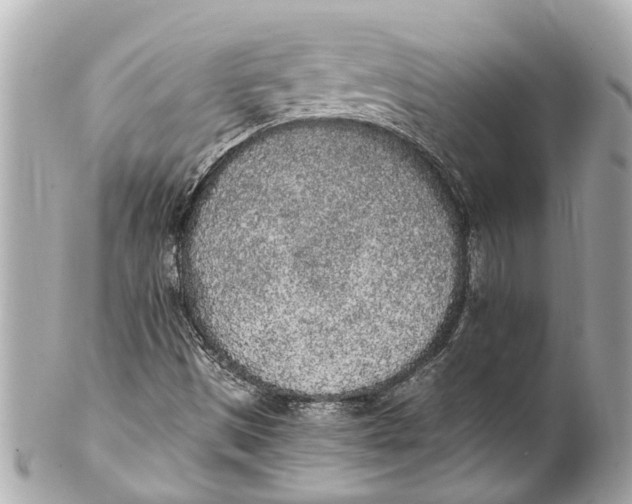 X0000101681497200807311507