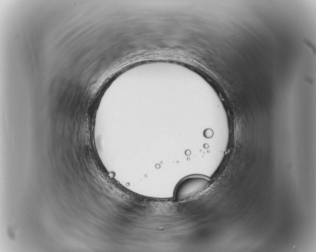 X0000101681498200807311507