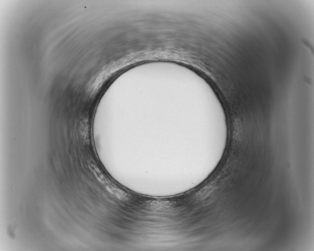 X0000101681499200807311507