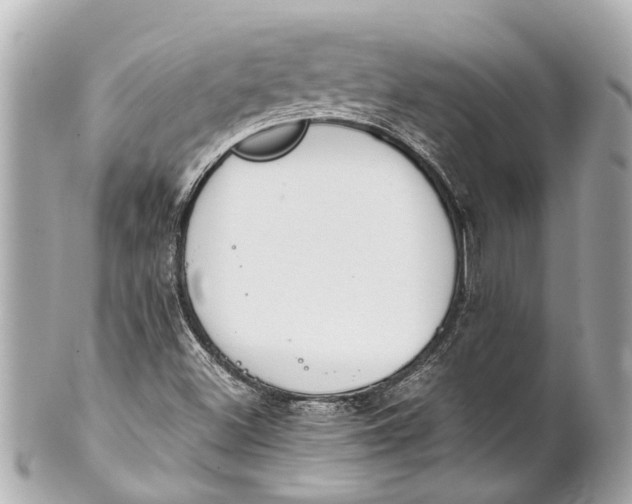 X0000101681500200807311507