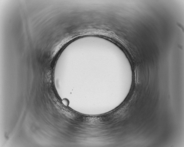 X0000101681501200807311508