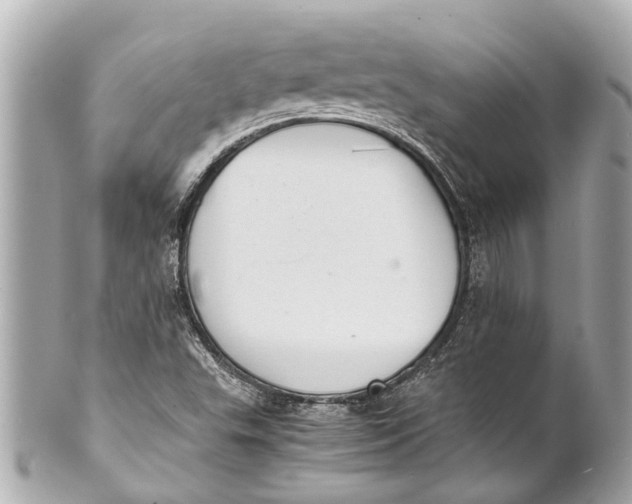 X0000101681503200807311508