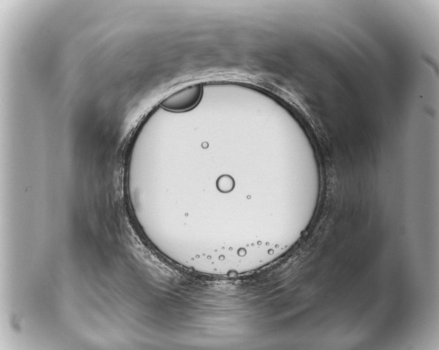 X0000101681504200807311508