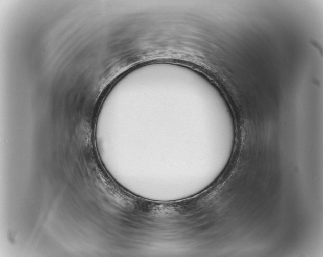 X0000101681505200807311508