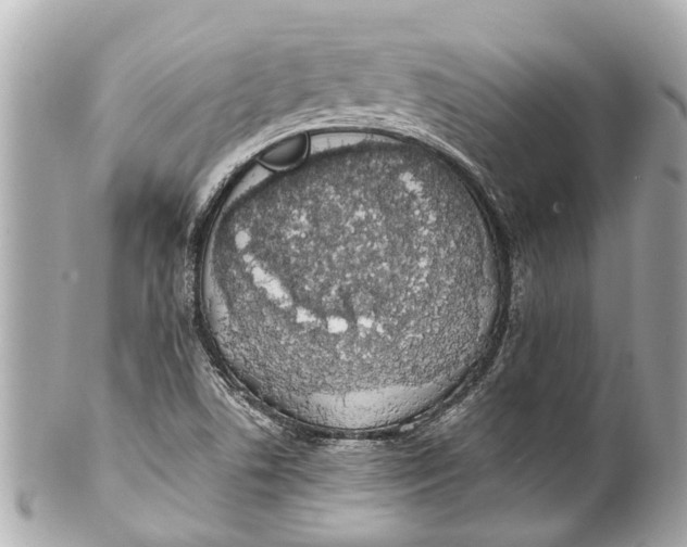 X0000101681506200807311508