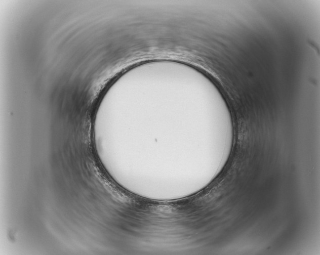 X0000101681507200807311508