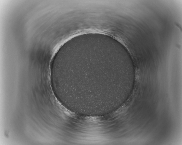 X0000101681508200807311508