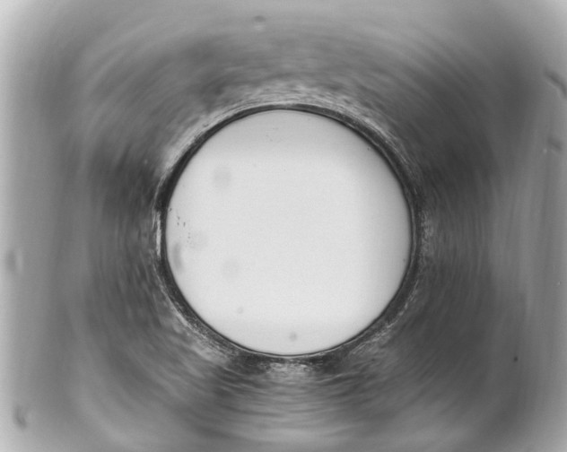 X0000101681509200807311508