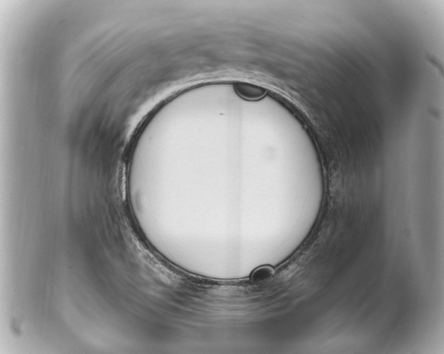 X0000101681510200807311508