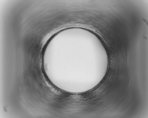 X0000101681511200807311508