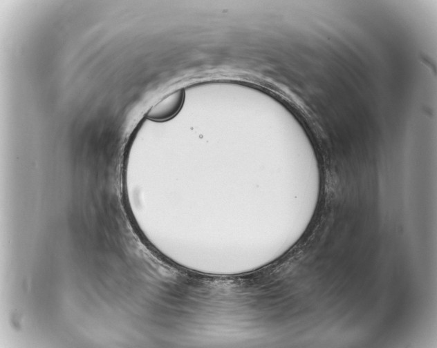 X0000101681512200807311508