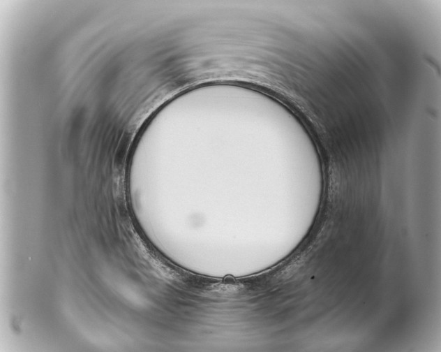 X0000101681513200807311508