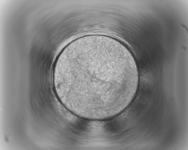 X0000101681514200807311508