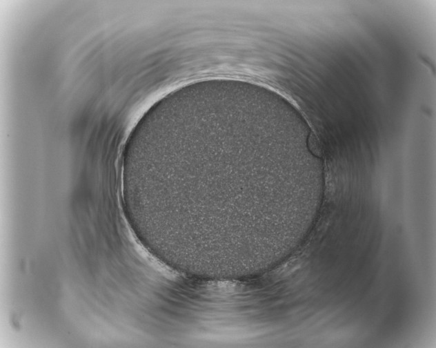 X0000101681515200807311508