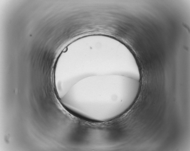 X0000101681516200807311508