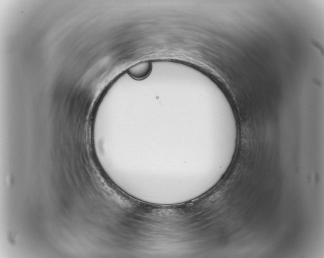 X0000101681517200807311508