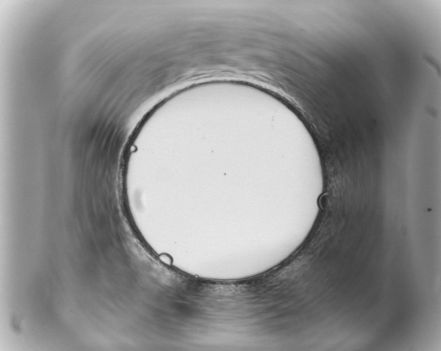 X0000101681518200807311508