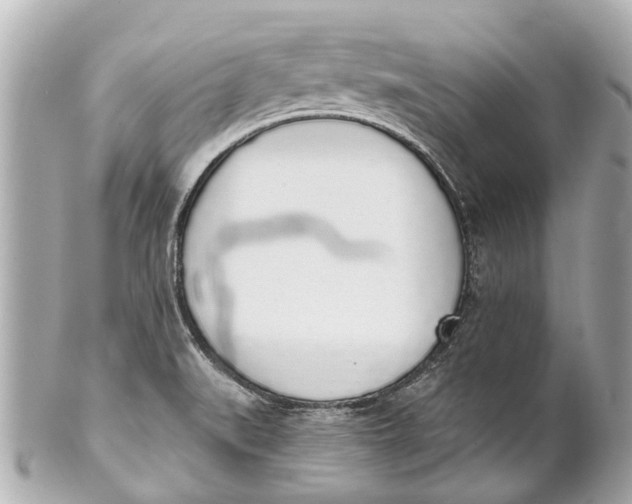 X0000101681519200807311508