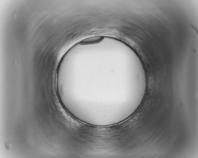 X0000101681520200807311508