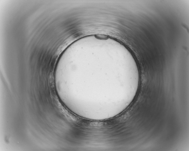 X0000101681521200807311508