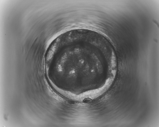 X0000101681522200807311508