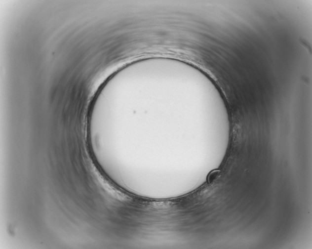 X0000101681523200807311508