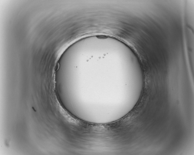 X0000101681524200807311508