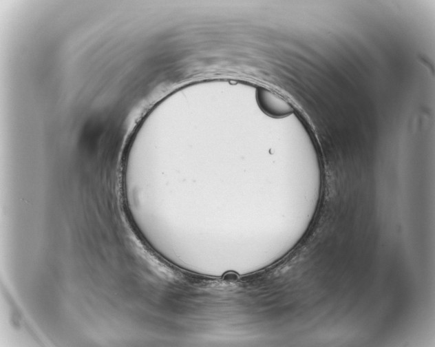 X0000101681525200807311508