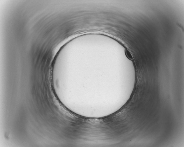 X0000101681526200807311508