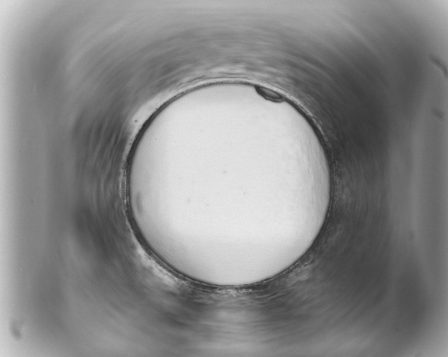 X0000101681527200807311508