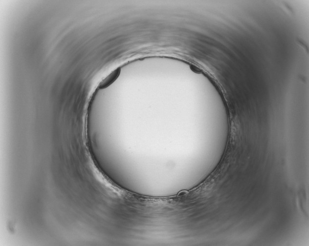 X0000101681528200807311508