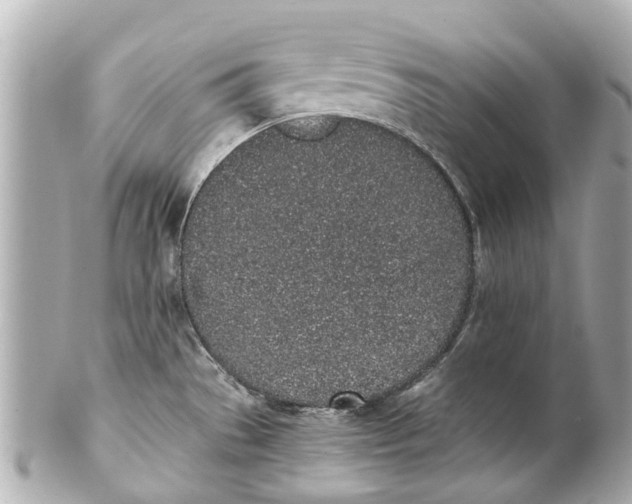 X0000101681529200807311508