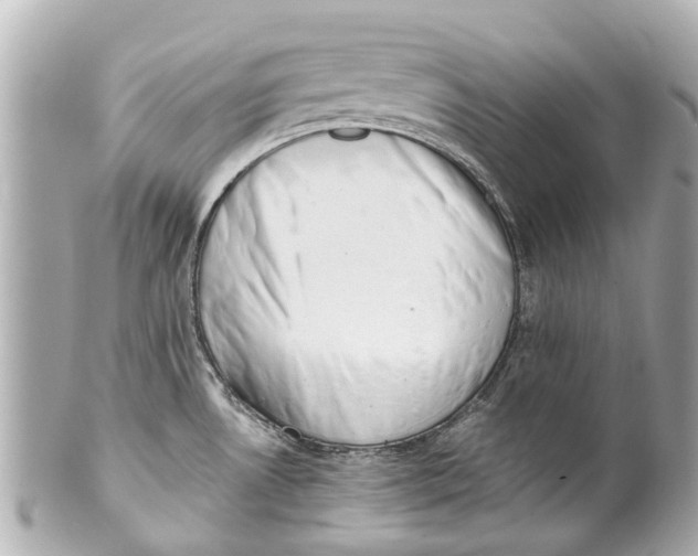 X0000101681530200807311508