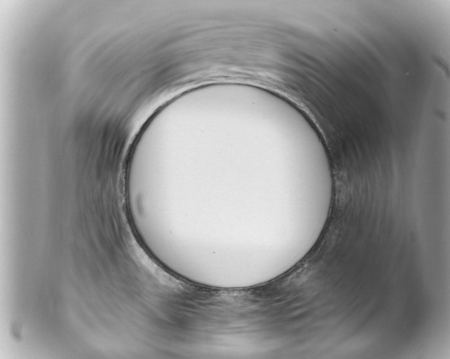 X0000101681531200807311508