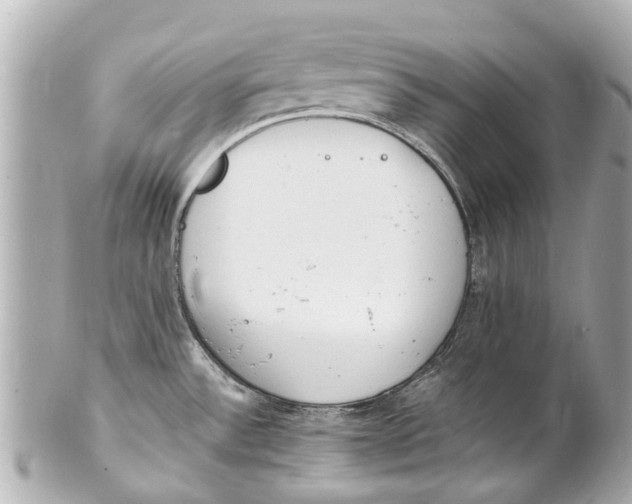 X0000101681532200807311508