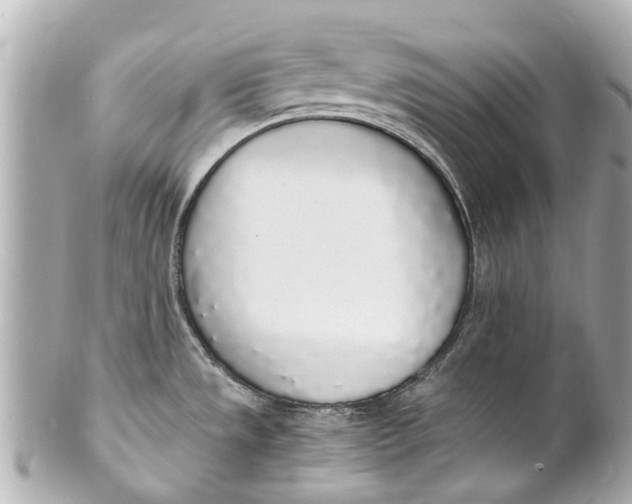 X0000101681533200807311508