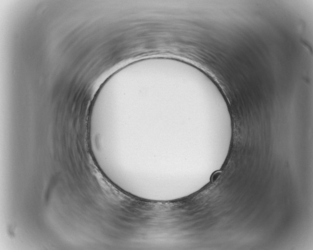 X0000101681534200807311508