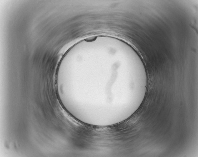 X0000101681535200807311508