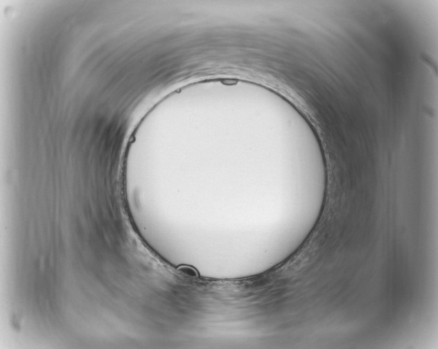 X0000101681536200807311508