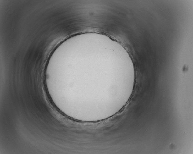 X0000101680001200808071120