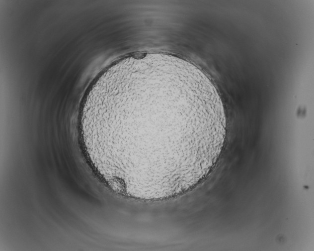 X0000101680002200808071120
