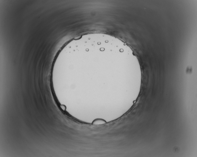 X0000101680003200808071120